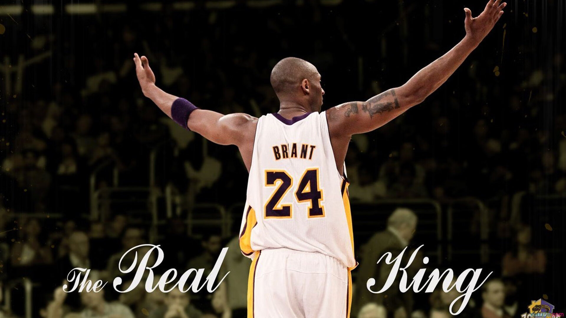 伊利亚·哈伦决赛中段加速领跑，荷甲伊哈塔伦