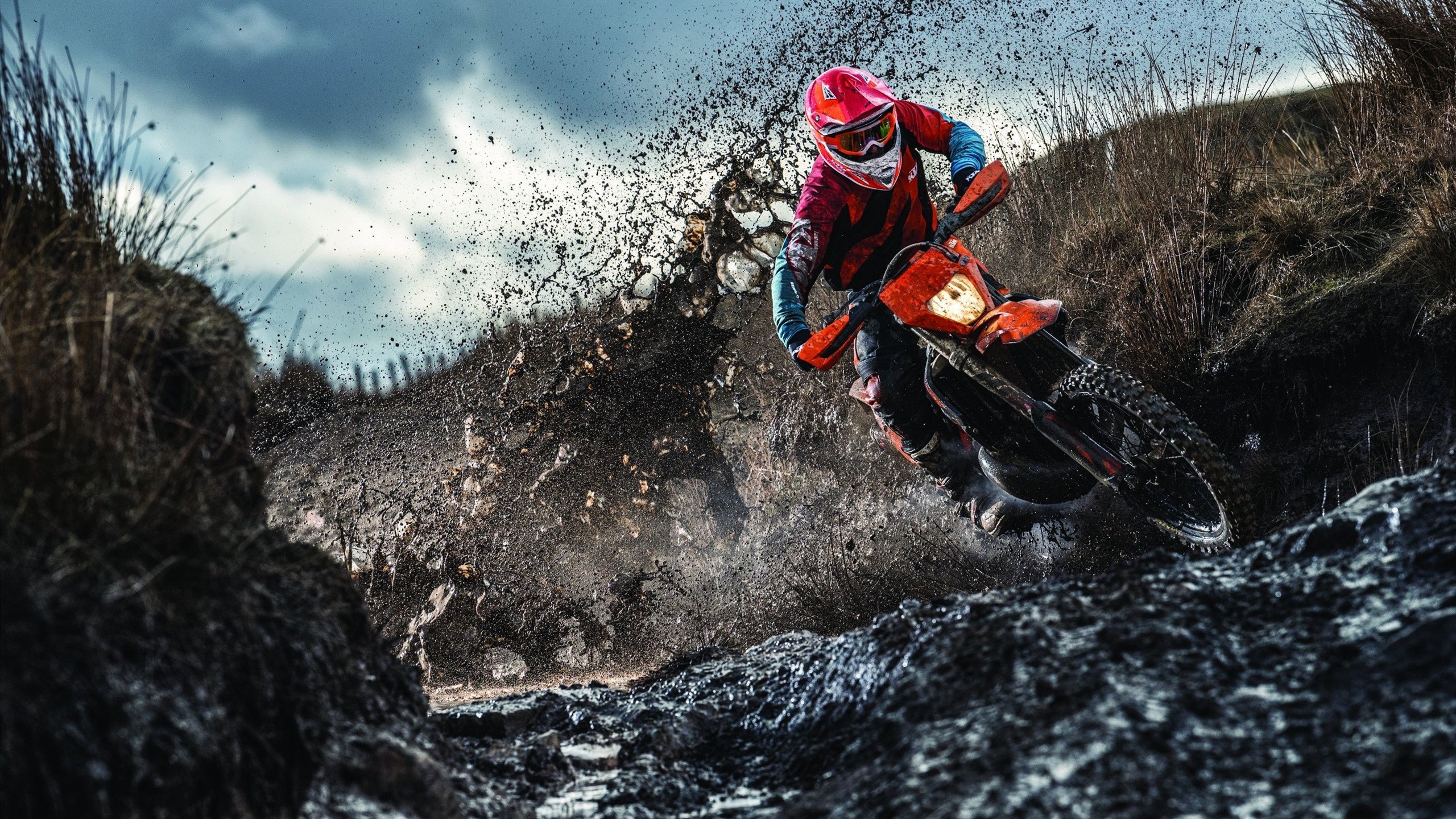 波兰蝶泳年轻选手潜力无限,波兰游泳奥运冠军